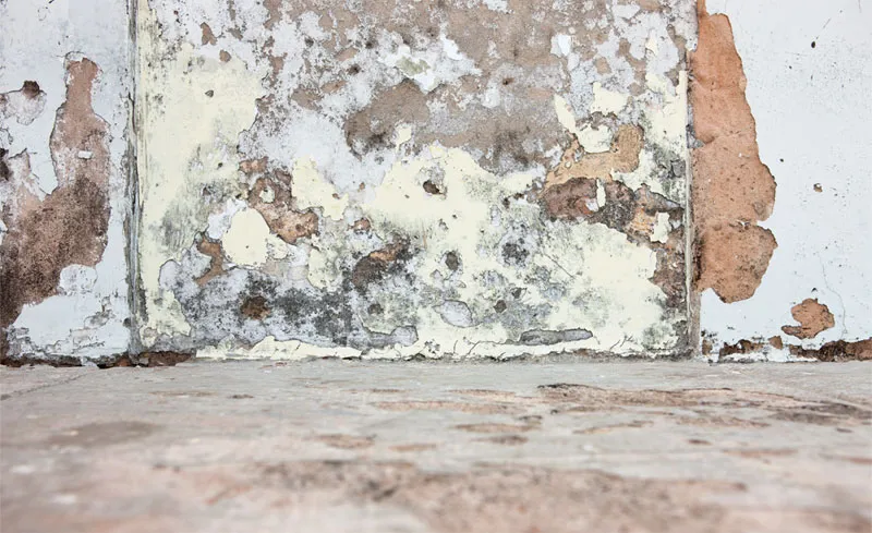 Das Bild von den feuchten Wände von Hehn Bautenschutz